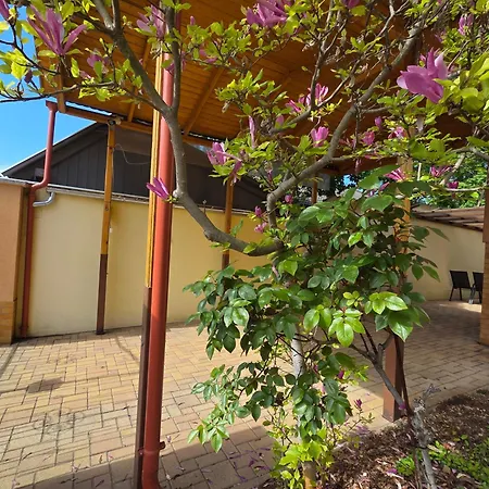 Holiday Apartman Kecskemét